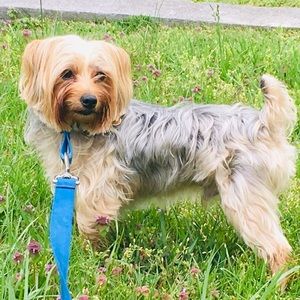 Meet your Posher, Casey